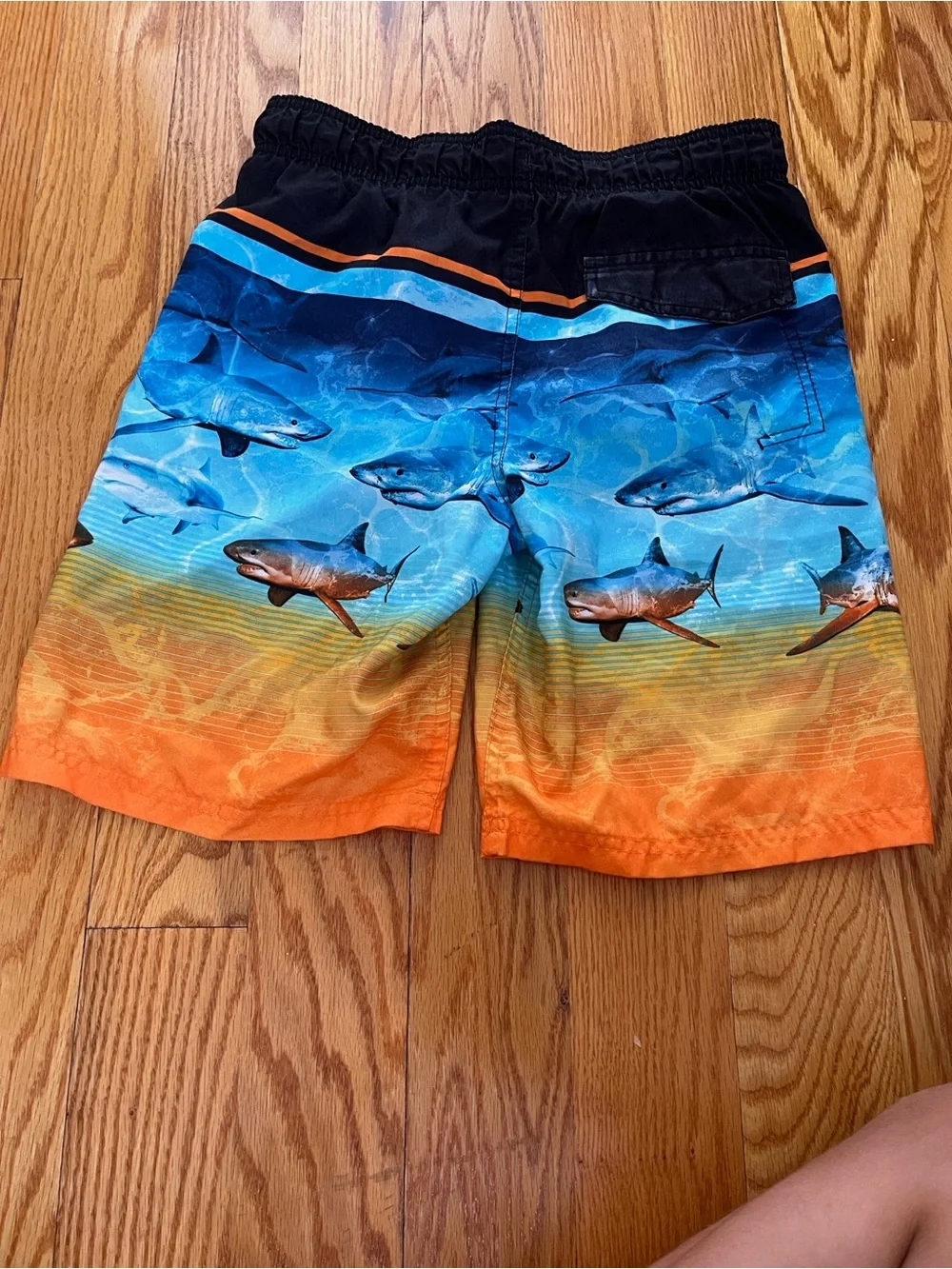 Boys Shark Print Swim Shorts in Blue & Orange